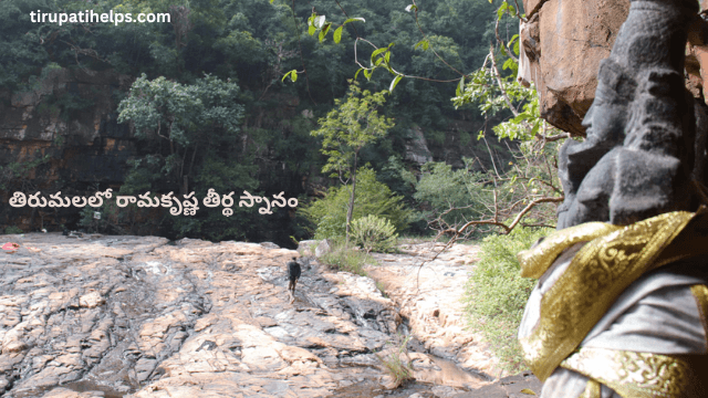 తిరుమలలో రామకృష్ణ తీర్థ స్నానం