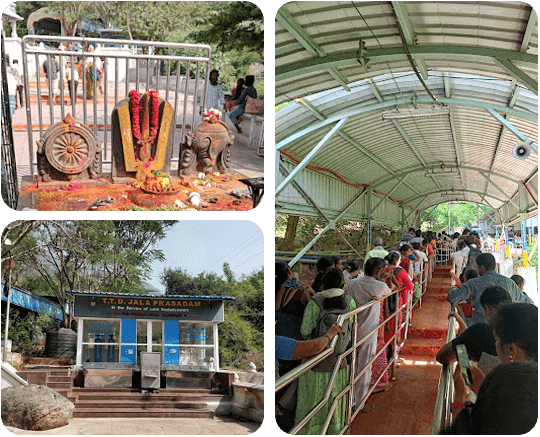 Devotees offering prayers on the steps of Srivari Mettu path