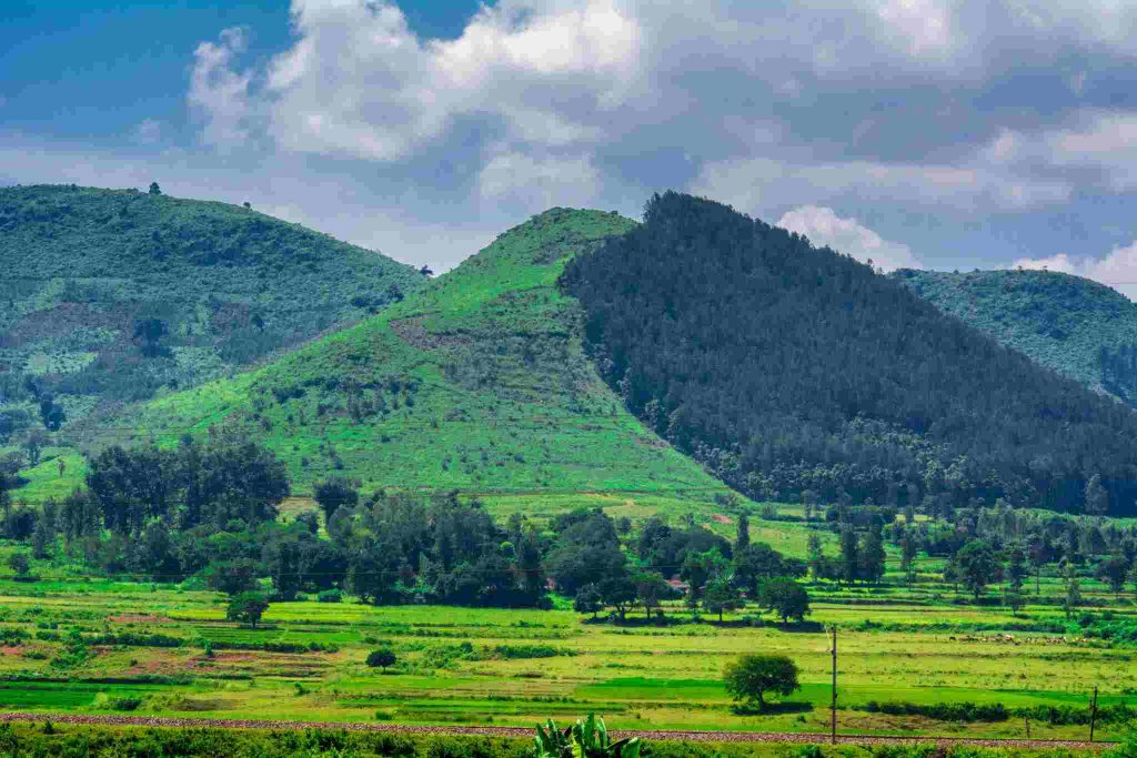Araku-Valley.