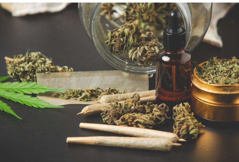 Top 5 Best Weed Strains for Studying – 2026 Edition