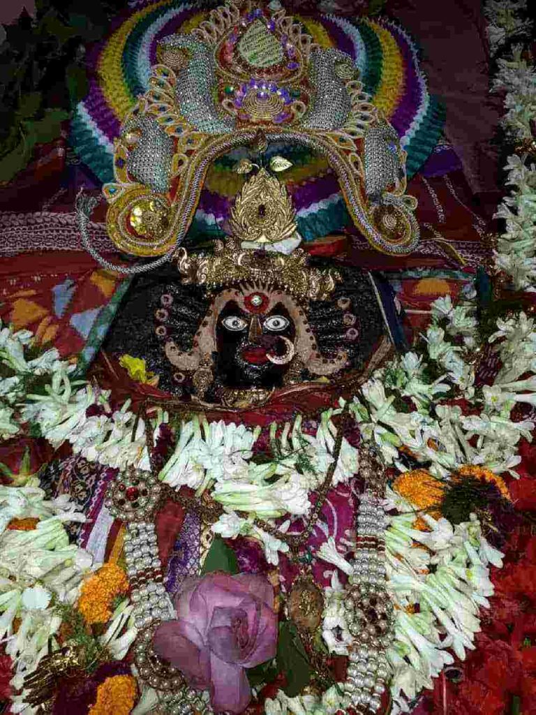Decorated idol of Maa Biraja Devi adorned with flowers and ornaments in Jajpur temple