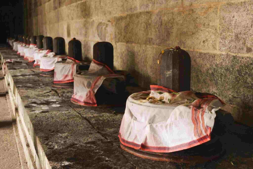 Row of Shiva Lingams inside Ekambareswarar Temple Kanchipuram